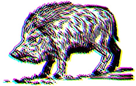 Big-Boar